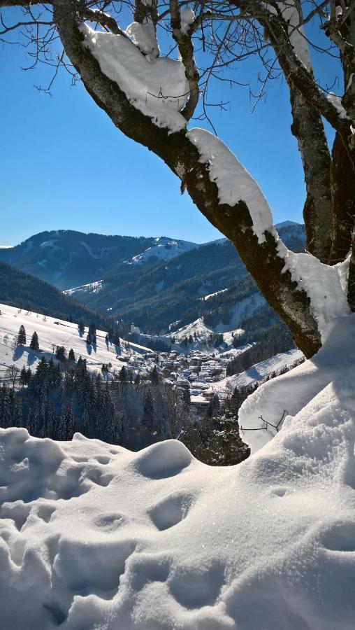 Das Hochkonig Dienten am Hochkönig Extérieur photo