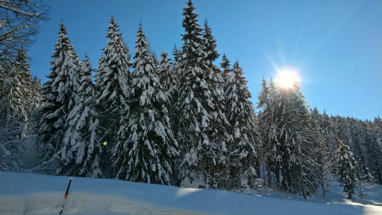 Das Hochkonig Dienten am Hochkönig Extérieur photo