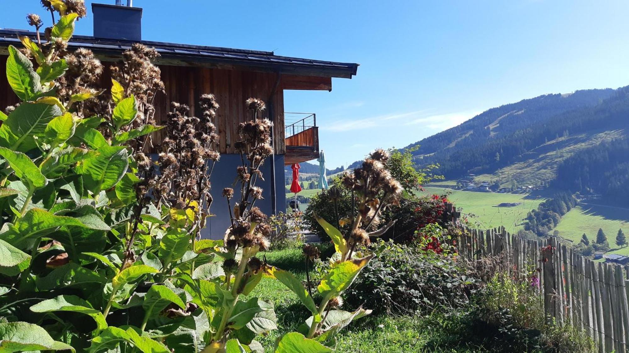 Das Hochkonig Dienten am Hochkönig Extérieur photo