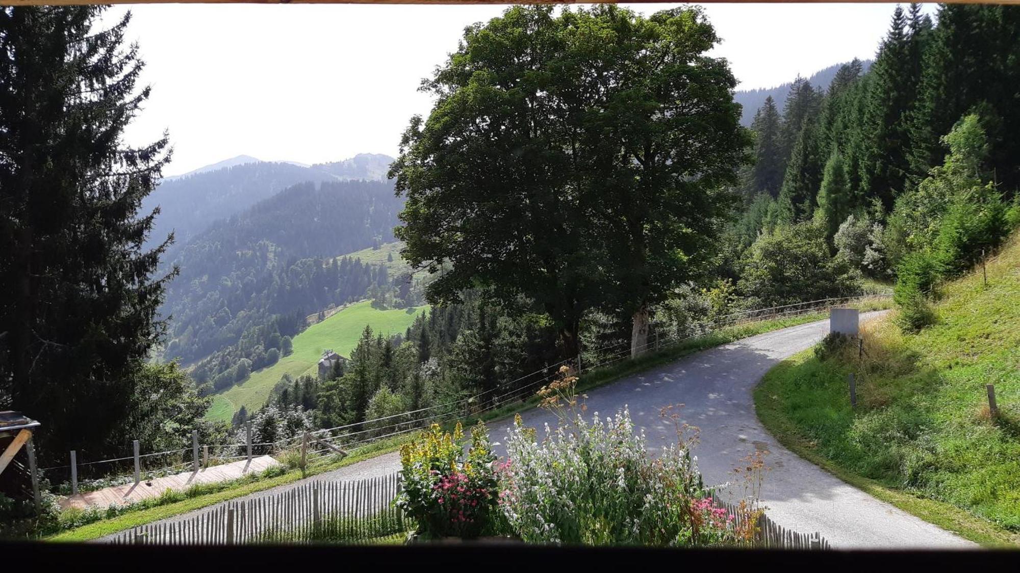 Das Hochkonig Dienten am Hochkönig Extérieur photo