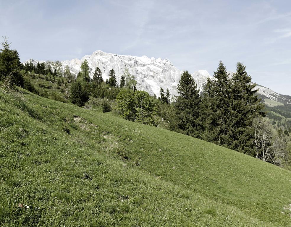 Das Hochkonig Dienten am Hochkönig Extérieur photo