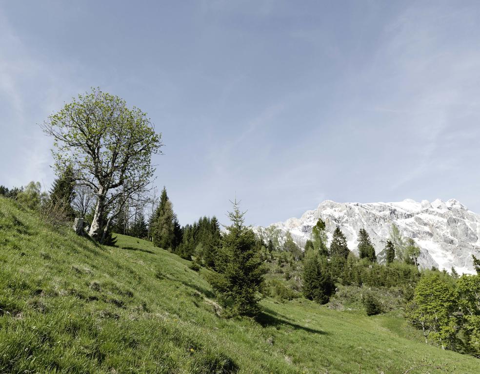 Das Hochkonig Dienten am Hochkönig Extérieur photo