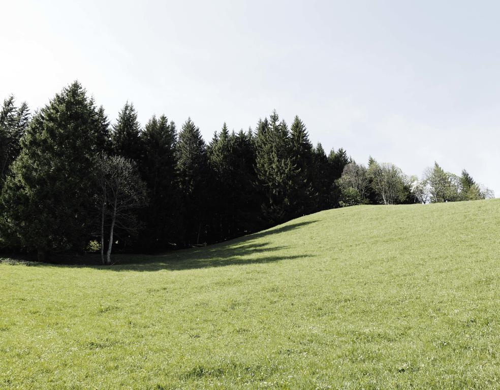 Das Hochkonig Dienten am Hochkönig Extérieur photo